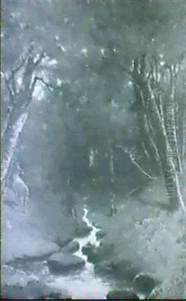A Shady Nook/landscape With Deer - view 1