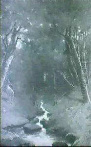 A Shady Nook/landscape With Deer by Charles Caleb Ward