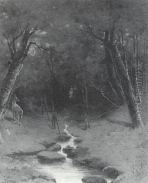 A Shady Pool - view 1