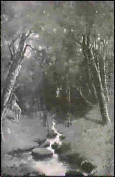 Shady Pool - view 1