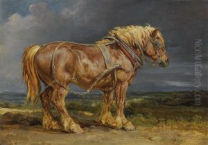 The Shire Horse Elephant In An Extensive Landscape