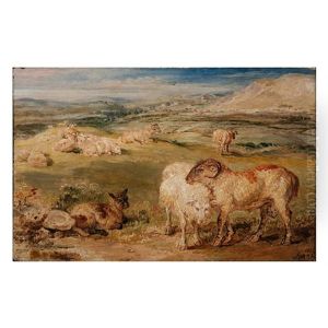 Sheep In Pastoral Landscape Sheep In Pastoral Landscape