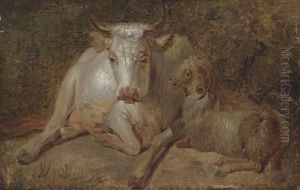 Study Of A Cow And A Sheep In A Woodland Clearing Study Of A Cow And A Sheep In A Woodland Clearing