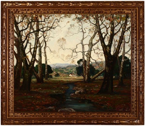 Sycamore Trees And Creek With A View Toward The Foothills - view 1