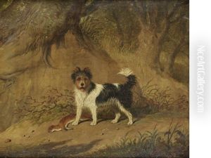 A Terrier In A Wood by Martin Theodore Ward