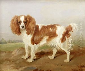 A Brown And White Spaniel In A Landscape by Martin Theodore Ward