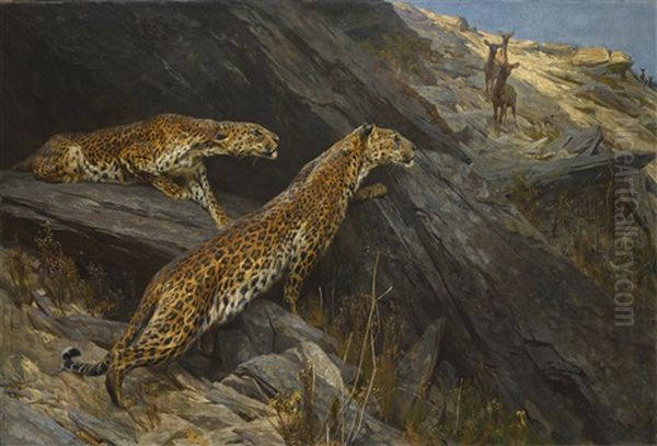 Indian Leopards - view 1