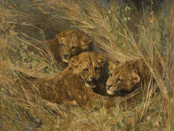 Lion Cubs - view 1