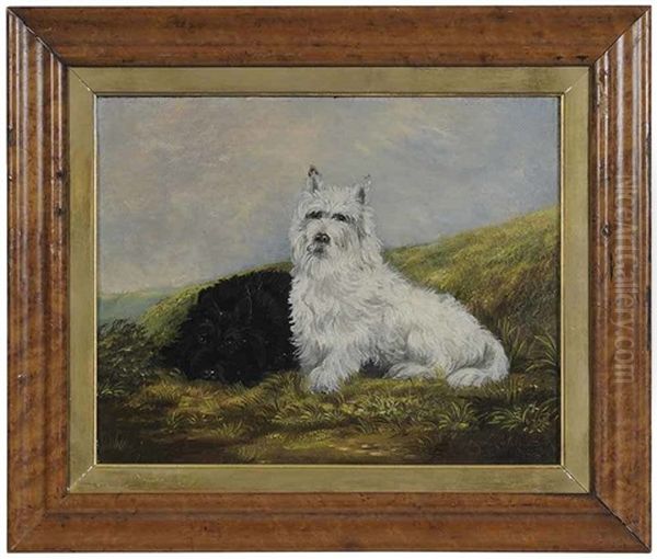 Cairn Terriers - view 1