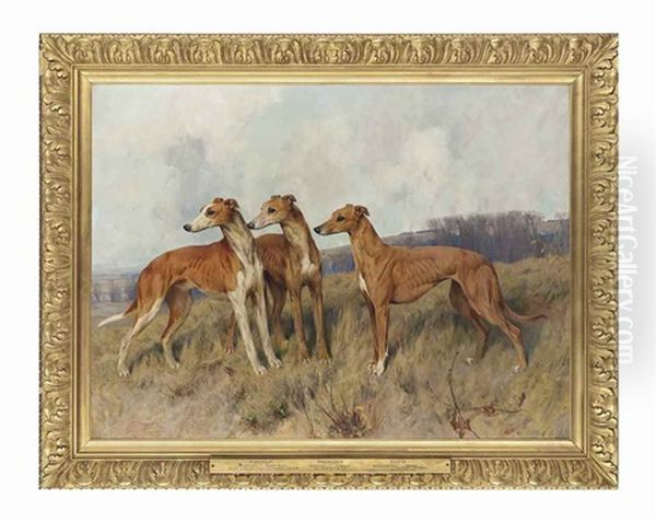Colonel J. Dennis's Greyhounds Distingue, Dendraspis And Dilwyn - view 1