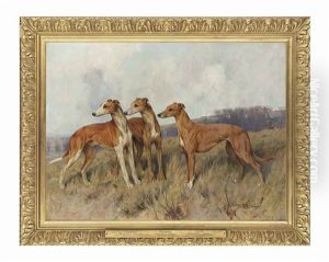 Colonel J. Dennis's Greyhounds Distingue, Dendraspis And Dilwyn by Arthur Wardle
