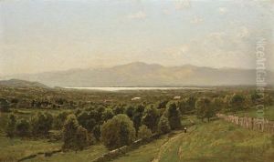 A View To The River