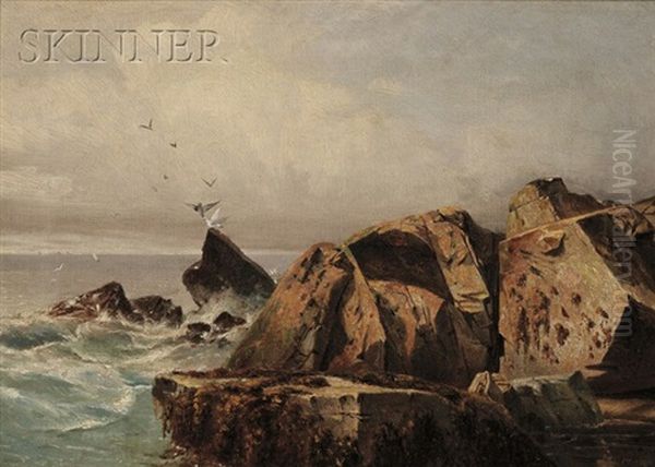 Rocks And Gulls, Possibly Mt. Desert - view 1