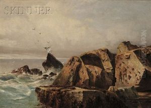 Rocks And Gulls, Possibly Mt. Desert