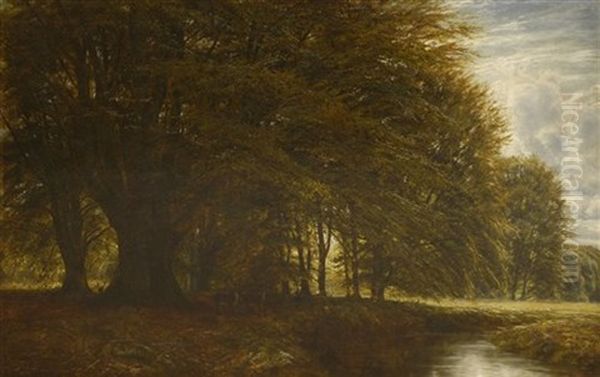 A Wooded Landscape, Burnham Beeches - view 1