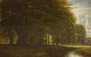 A Wooded Landscape, Burnham Beeches A Wooded Landscape, Burnham Beeches