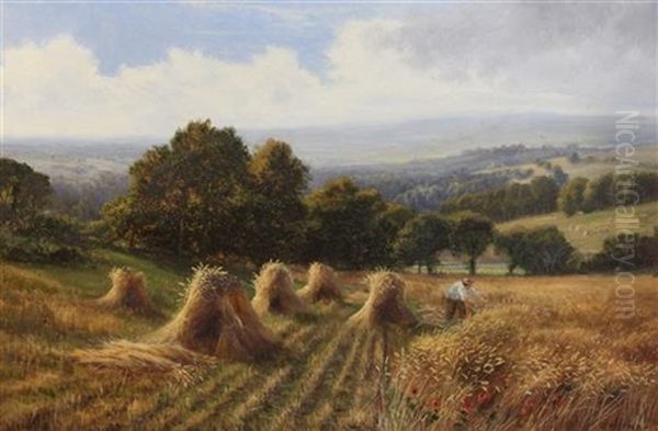 Harvester In A Cornfield On The South Downs - view 1