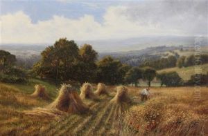 Harvester In A Cornfield On The South Downs