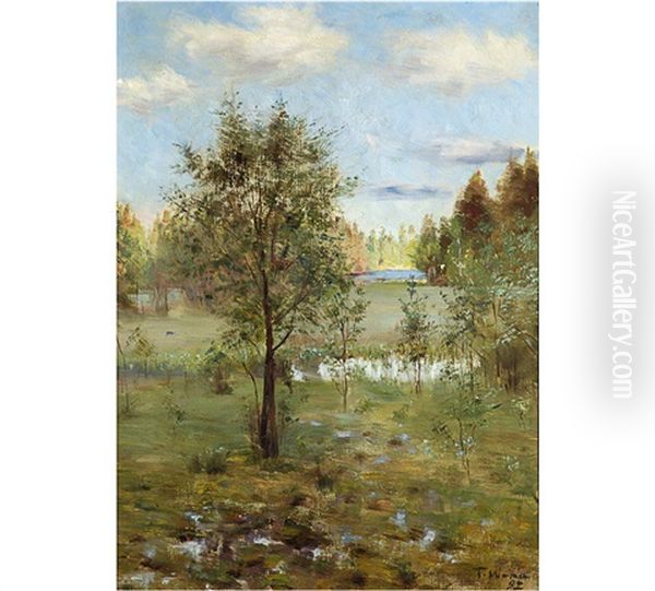 Landscape - view 1
