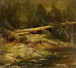 Gesturzter Baum Am Ufer Des Wildbaches