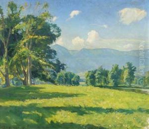 Sommerliche Voralpenlandschaft