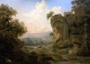 Paysage Rocheux Et Boise