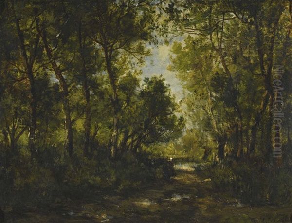 Chemin Sous Bois: Foret De Fontainebleau - view 1