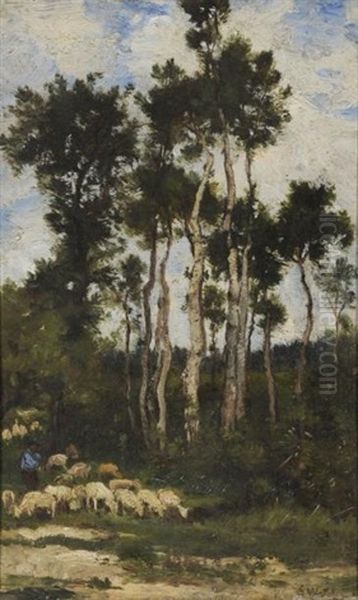 Moutons En Foret - view 1