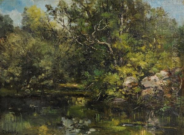 Mare De L'aigrette, Foret De Fontainebleau - view 1