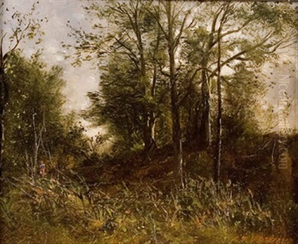 Waldlandschaft - view 1