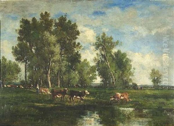 Sommerliche Auenlandschaft Mit Rinderherde - view 1