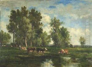 Sommerliche Auenlandschaft Mit Rinderherde
