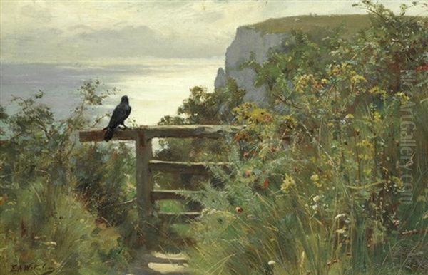 The Cliff Path - view 1