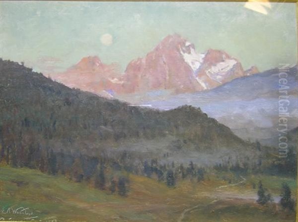 View Of Pontresina - view 1
