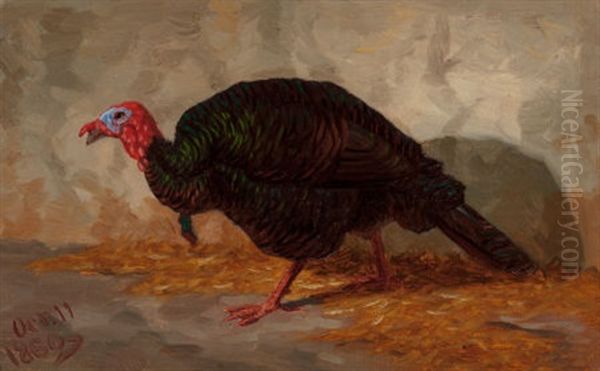 Turkey, 1860 - view 1