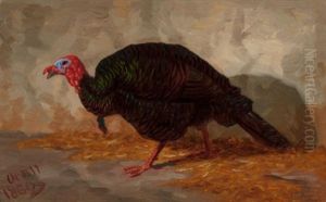 Turkey, 1860