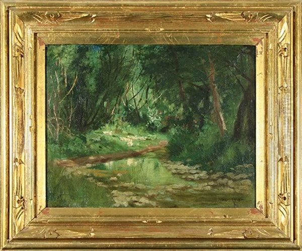 Ducks In Woodland Brook - view 1