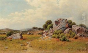 Rocky Meadow With View To The Sea Rocky Meadow With View To The Sea