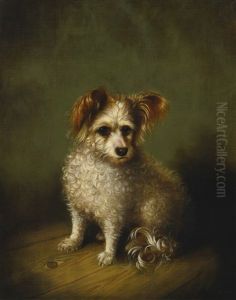 My Dog