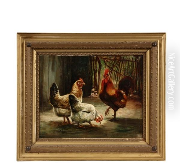 Rooster With Two Chickens In Yard - view 1
