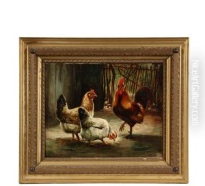 Rooster With Two Chickens In Yard