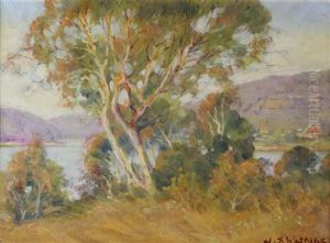 Pittwater, Nsw by John Samuel Watkins