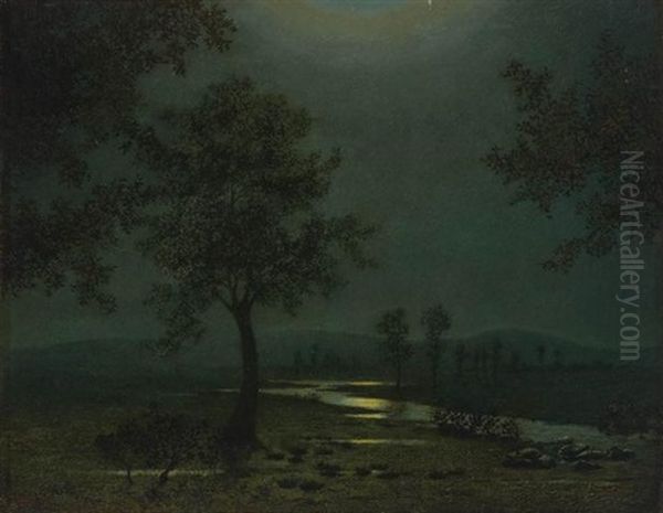 Evening Landscape - view 1
