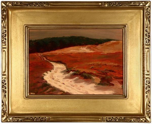 Coastal Dune Landscape - view 1