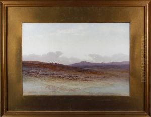 Dartmoor Landscape