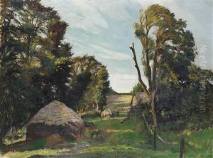 Evening Evening