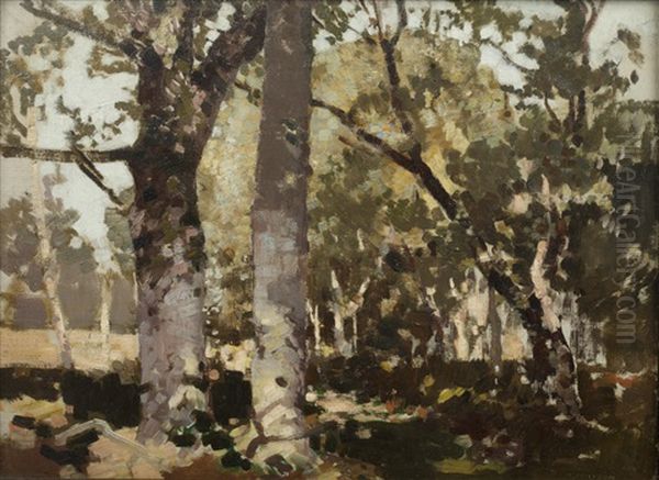 A Sun-dappled Wooded Lane - view 1