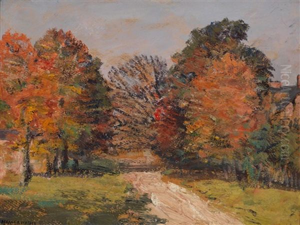 Roadway At Doon - view 1