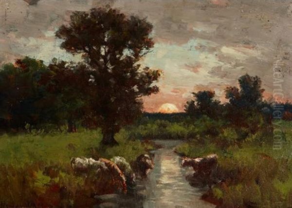 Cattle At Sunset - view 1