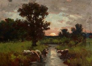 Cattle At Sunset